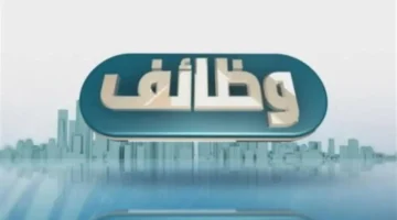 رابط التقديم.. فرص وظيفية بـ12 نادٍ تحت رعاية الشباب والرياضة